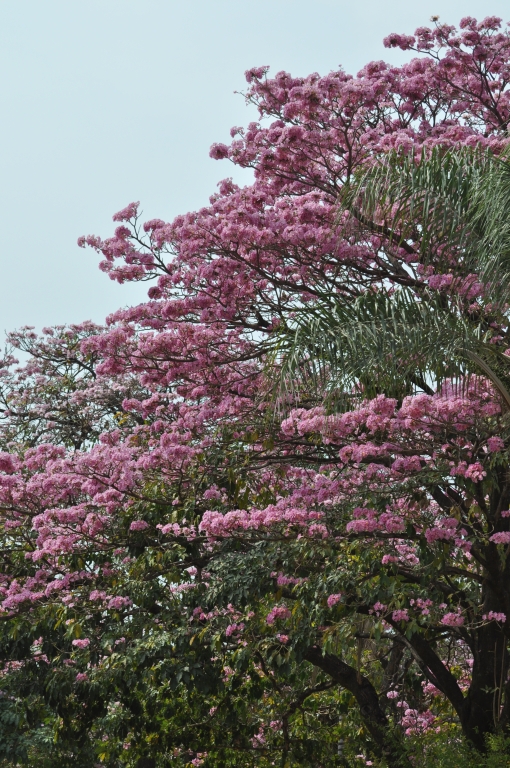 19 - Imagens do CEU.jpg